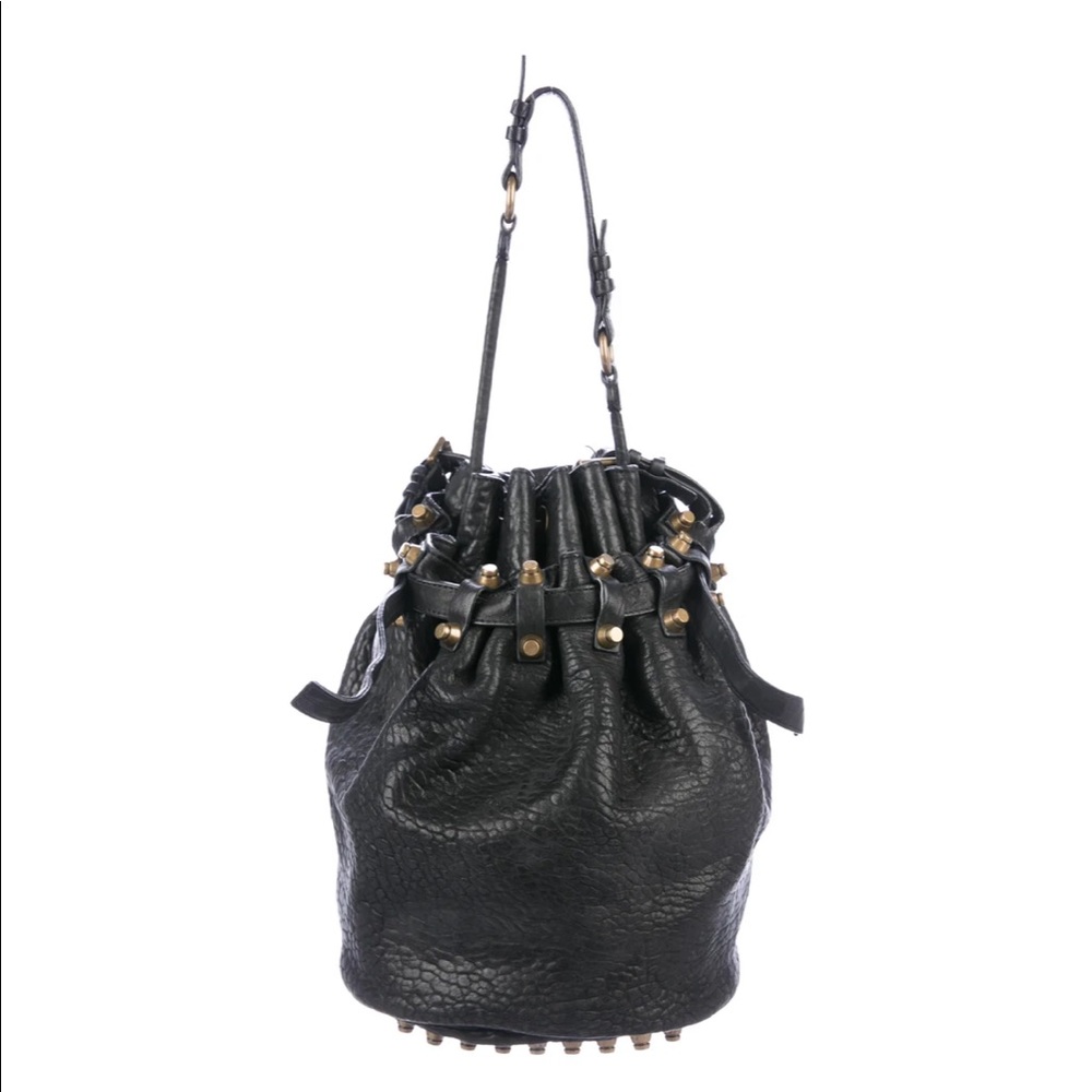 Alexander wang Diego bucket bag in brass